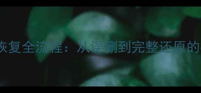 图片 32G磁盘数据恢复全流程：从误删到完整还原的6大关键步骤2