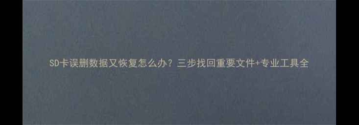 图片 SD卡误删数据又恢复怎么办？三步找回重要文件+专业工具全