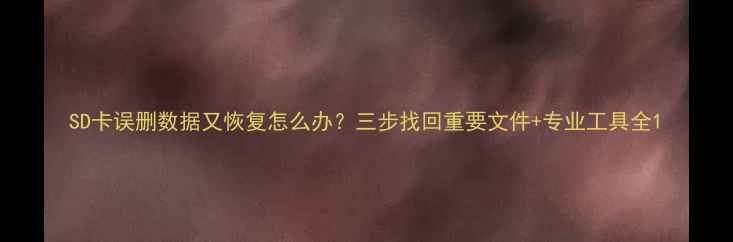 图片 SD卡误删数据又恢复怎么办？三步找回重要文件+专业工具全1