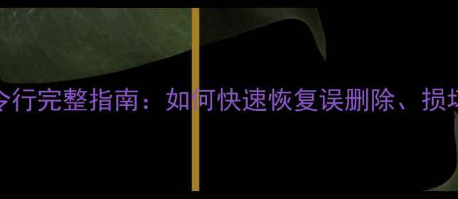 图片 SQL数据库恢复命令行完整指南：如何快速恢复误删除、损坏或丢失的数据？1