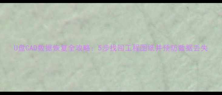 图片 U盘CAD数据恢复全攻略：5步找回工程图纸并预防数据丢失