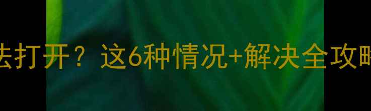 图片 U盘数据恢复后无法打开？这6种情况+解决全攻略（附免费工具）1
