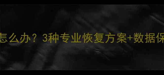 图片 WPS表格筛选后数据丢失怎么办？3种专业恢复方案+数据保护指南（附实操步骤）2