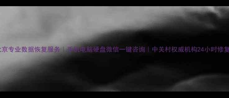 图片 北京专业数据恢复服务｜手机电脑硬盘微信一键咨询｜中关村权威机构24小时修复1