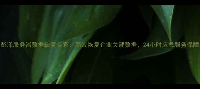 图片 彭泽服务器数据恢复专家：高效恢复企业关键数据，24小时应急服务保障