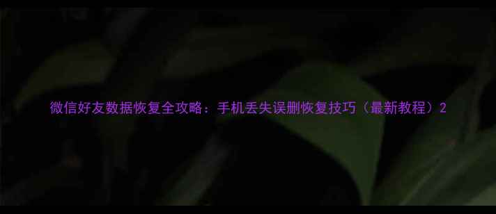 图片 微信好友数据恢复全攻略：手机丢失误删恢复技巧（最新教程）2