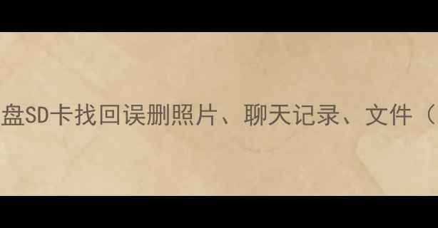 图片 手机数据恢复教程：从U盘SD卡找回误删照片、聊天记录、文件（附专业工具+操作指南）