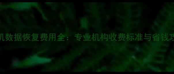 图片 手机数据恢复费用全：专业机构收费标准与省钱攻略