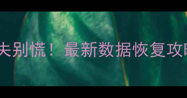 图片 手机电脑文件丢失别慌！最新数据恢复攻略大公开📱💻✨1