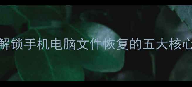 图片 数据恢复加号：解锁手机电脑文件恢复的五大核心功能与操作指南