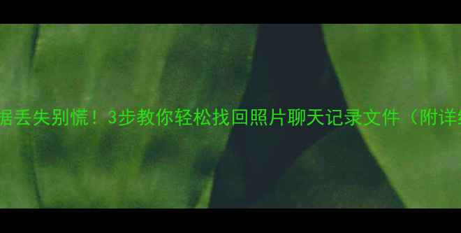 图片 旧手机数据丢失别慌！3步教你轻松找回照片聊天记录文件（附详细教程）1