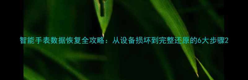 图片 智能手表数据恢复全攻略：从设备损坏到完整还原的6大步骤2