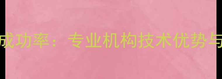 图片 民警数据恢复成功率：专业机构技术优势与行业领先成果