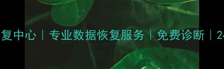 图片 淄博张店数据恢复中心｜专业数据恢复服务｜免费诊断｜24小时应急处理1