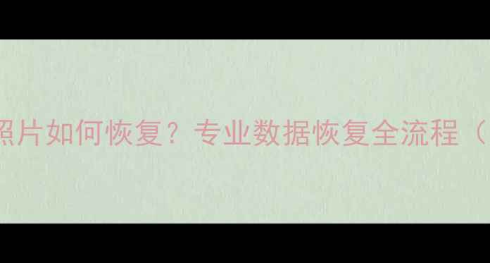 图片 相机格式化后照片如何恢复？专业数据恢复全流程（附工具推荐）1
