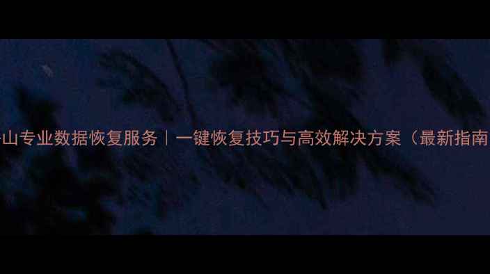 图片 舟山专业数据恢复服务｜一键恢复技巧与高效解决方案（最新指南）