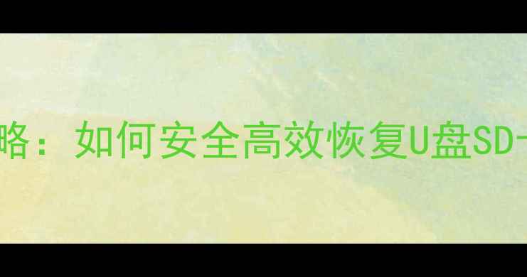 图片 读卡器数据丢失全攻略：如何安全高效恢复U盘SD卡CF卡里的重要文件1