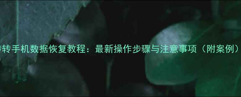 图片 转转手机数据恢复教程：最新操作步骤与注意事项（附案例）2