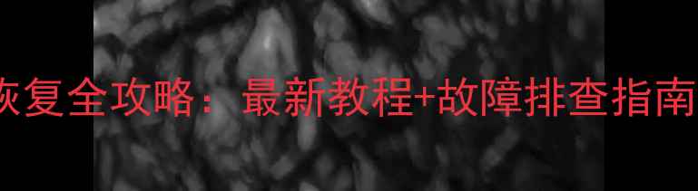 图片 速腾仪表盘数据恢复全攻略：最新教程+故障排查指南（含图文详解）1