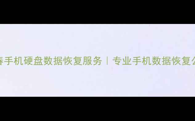 图片 长春手机硬盘数据恢复服务｜专业手机数据恢复公司