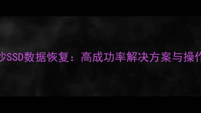 图片 雷克沙SSD数据恢复：高成功率解决方案与操作指南