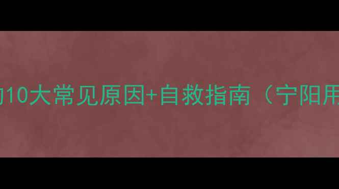 图片 💻数据丢失的10大常见原因+自救指南（宁阳用户必看！）1