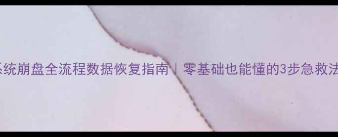 图片 💻系统崩盘全流程数据恢复指南｜零基础也能懂的3步急救法✨2