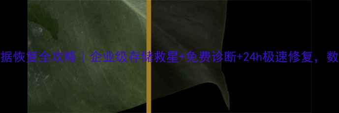 图片 💾三菱60S数据恢复全攻略｜企业级存储救星+免费诊断+24h极速修复，数据不丢人！1