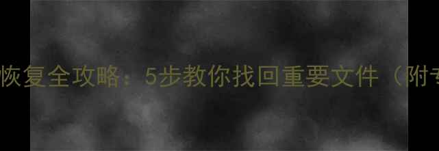 图片 📁东芝硬盘数据恢复全攻略：5步教你找回重要文件（附专业工具推荐）2