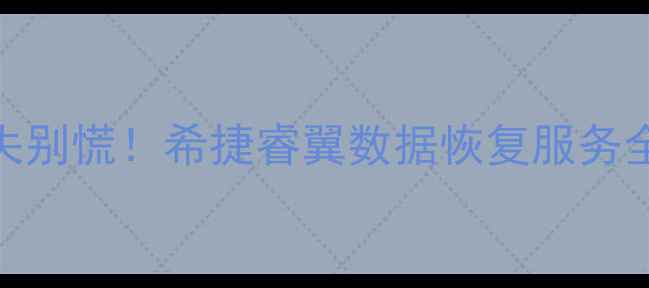 图片 📱💻手机电脑文件丢失别慌！希捷睿翼数据恢复服务全攻略（附真实案例）
