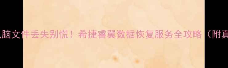 图片 📱💻手机电脑文件丢失别慌！希捷睿翼数据恢复服务全攻略（附真实案例）1