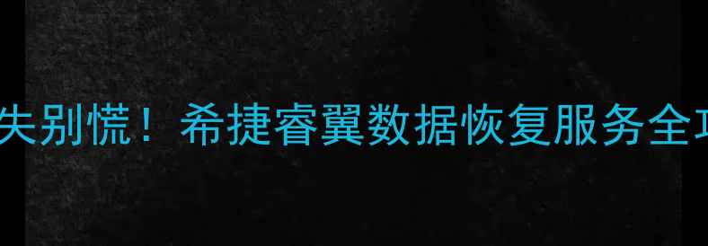 图片 📱💻手机电脑文件丢失别慌！希捷睿翼数据恢复服务全攻略（附真实案例）2
