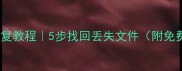 优盘数据恢复教程5步找回丢失文件附免费工具推荐