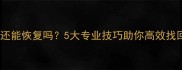 数据覆盖后还能恢复吗5大专业技巧助你高效找回重要文件