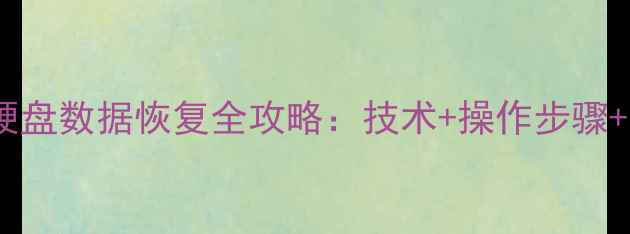 图片 20T机械硬盘数据恢复全攻略：技术+操作步骤+注意事项