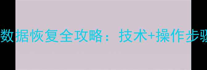 图片 20T机械硬盘数据恢复全攻略：技术+操作步骤+注意事项1