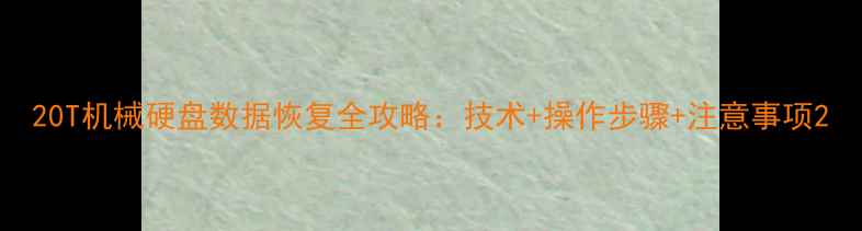 图片 20T机械硬盘数据恢复全攻略：技术+操作步骤+注意事项2