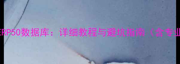 图片 3步恢复雷石ERP50数据库：详细教程与避坑指南（含专业工具推荐）1