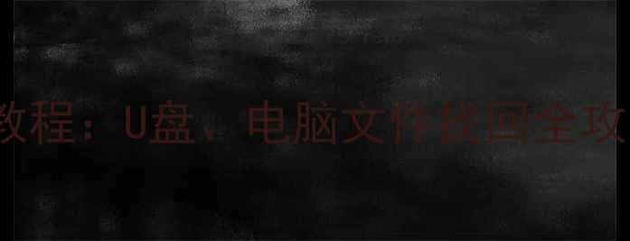 图片 8848手机数据恢复教程：U盘、电脑文件找回全攻略（附操作步骤）2