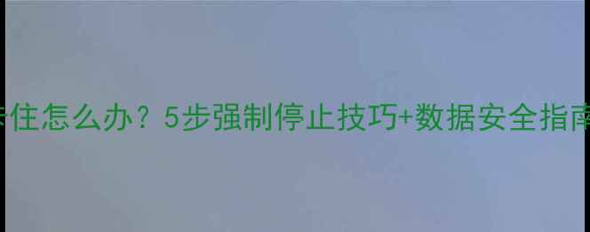 图片 DiskGenius数据恢复卡住怎么办？5步强制停止技巧+数据安全指南（附官方修复流程）1