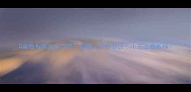 图片 D盘数据恢复全攻略｜误删文件秒复原｜小白必看教程1