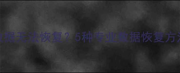 图片 D盘格式化后数据无法恢复？5种专业数据恢复方法及操作指南2