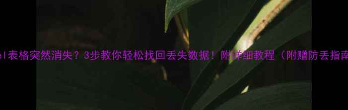 图片 Excel表格突然消失？3步教你轻松找回丢失数据！附详细教程（附赠防丢指南）1