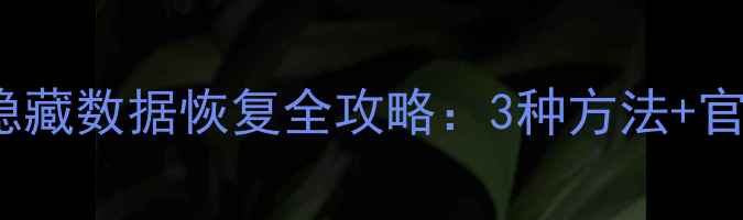 图片 Excel表格隐藏数据恢复全攻略：3种方法+官方推荐工具