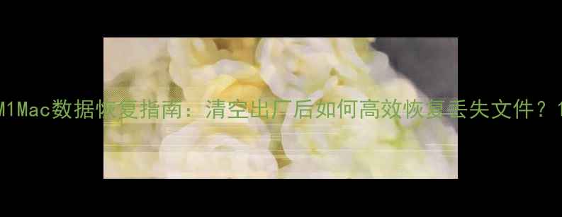 图片 M1Mac数据恢复指南：清空出厂后如何高效恢复丢失文件？1