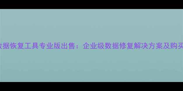 图片 MRT数据恢复工具专业版出售：企业级数据修复解决方案及购买指南