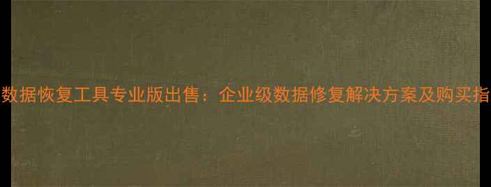 图片 MRT数据恢复工具专业版出售：企业级数据修复解决方案及购买指南1