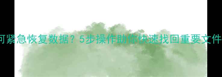 图片 Mac无法开机如何紧急恢复数据？5步操作助你快速找回重要文件（附详细教程）