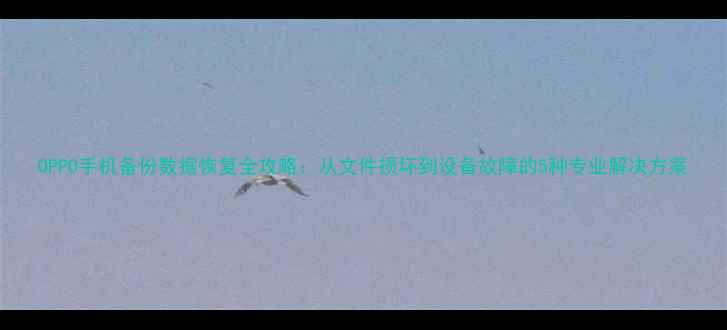 图片 OPPO手机备份数据恢复全攻略：从文件损坏到设备故障的5种专业解决方案