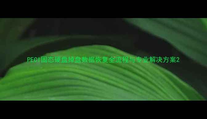 图片 PECI固态硬盘掉盘数据恢复全流程与专业解决方案2